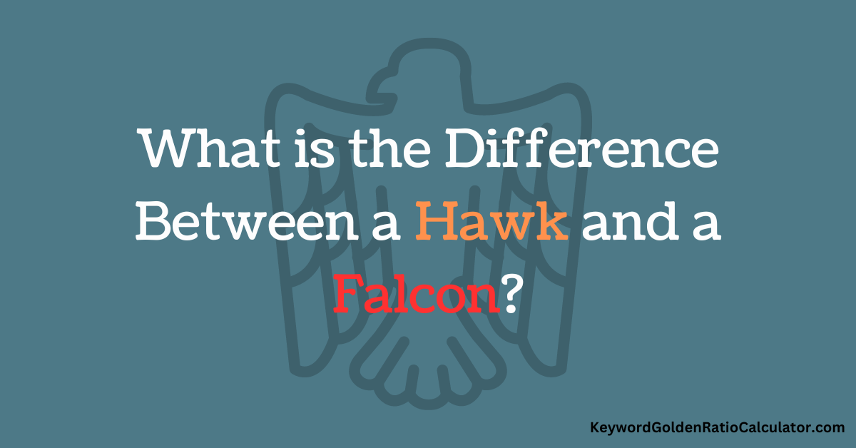 what is the difference between a hawk and a falcon